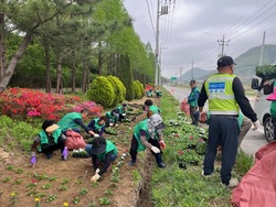 메인사진