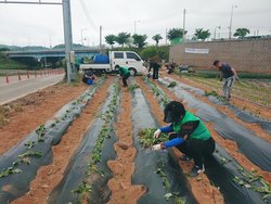 메인사진