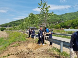 메인사진