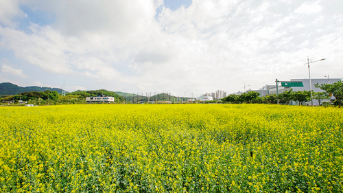 메인사진