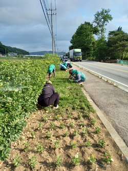 메인사진