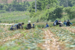 메인사진