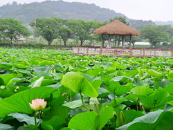 메인사진