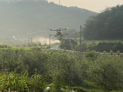 메인사진