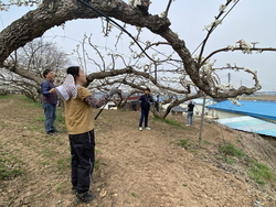 메인사진